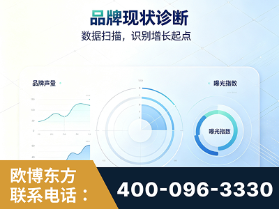 南阳-品牌现状诊断