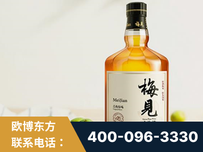 南阳-梅见青梅酒